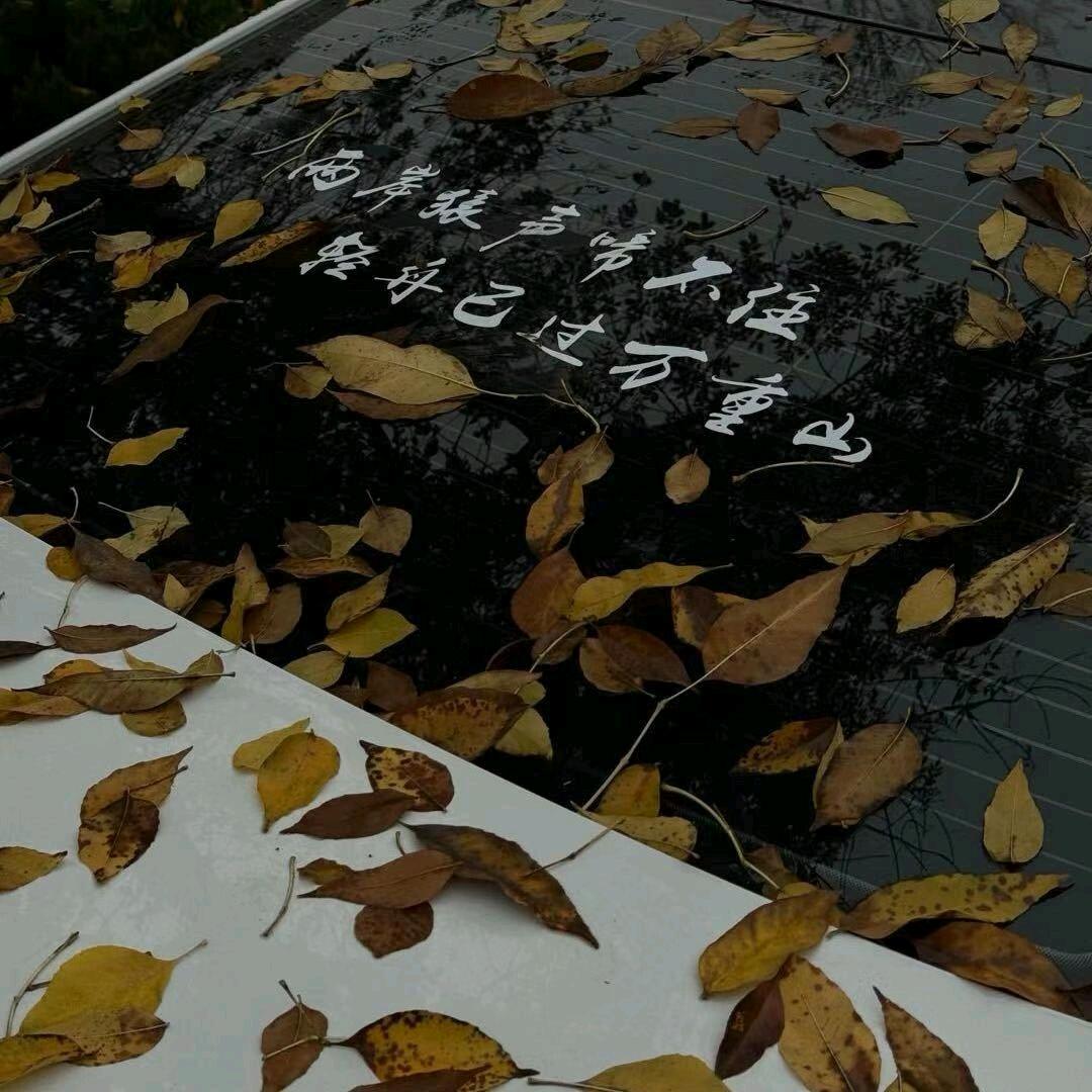 让泪化作相思雨