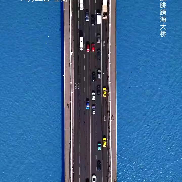 单身小丽
