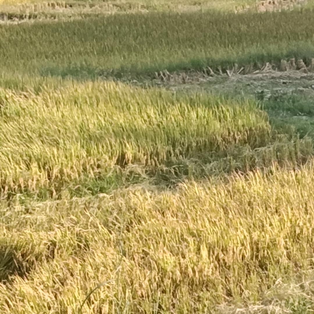 空港新城云欧创百货精选小铺