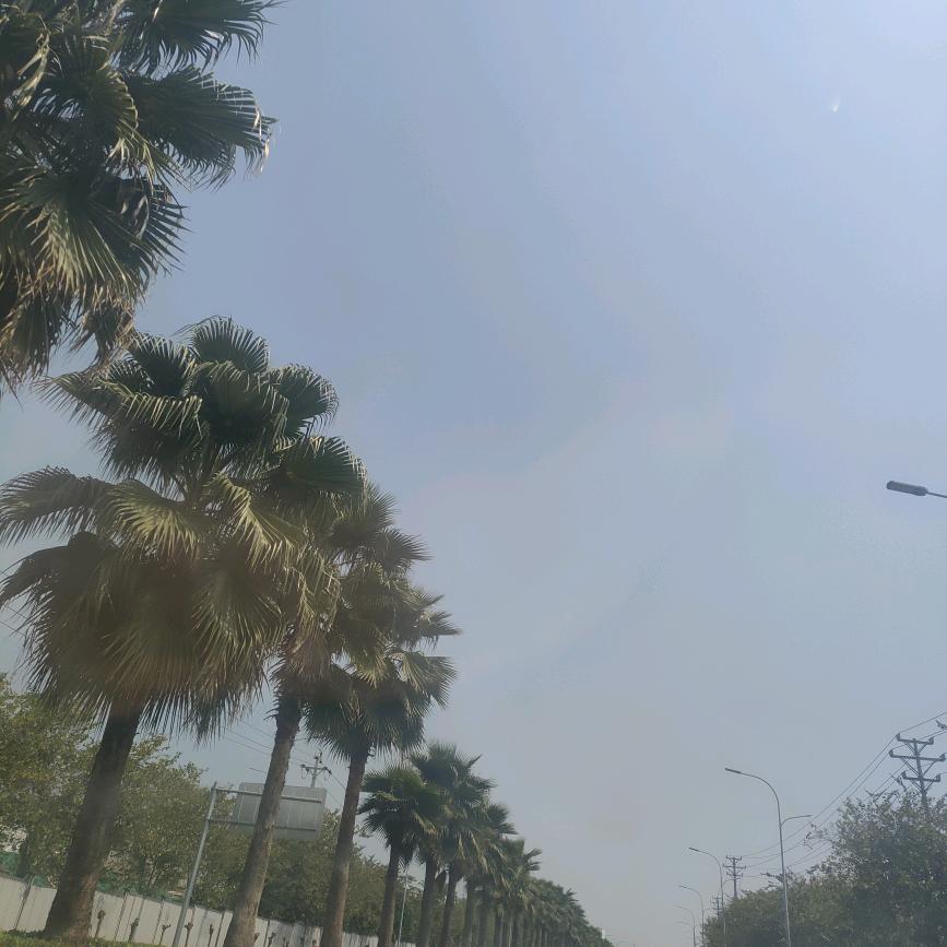 👴🏻QI个隆咚锵