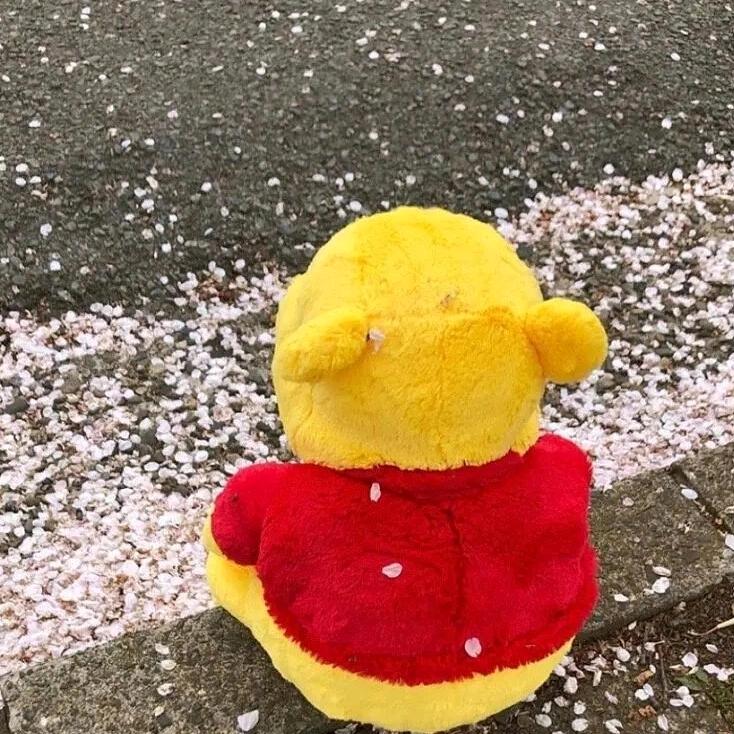 小熊软糖