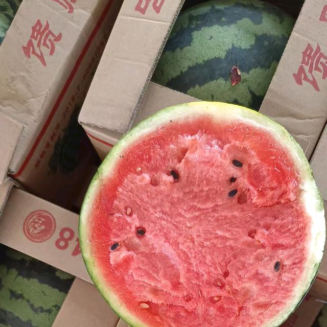 老挝甜王大聪明