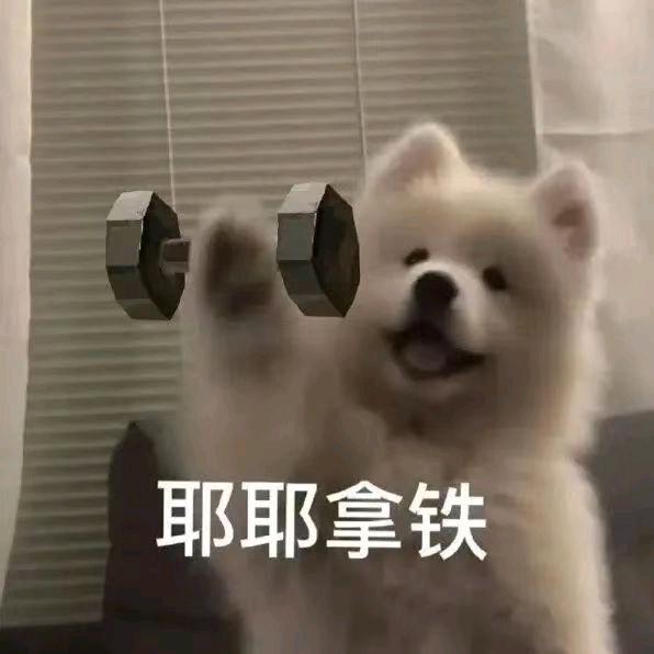 安安桑