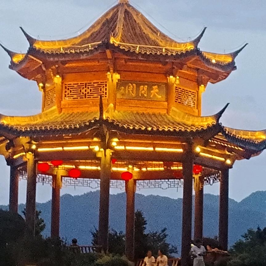 跑山卖货大傻
