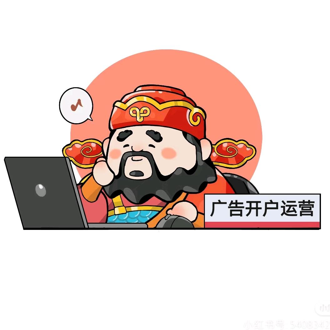 运营小诸葛（广告代运营）