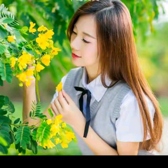 🌺王🌺连🌹古🌹