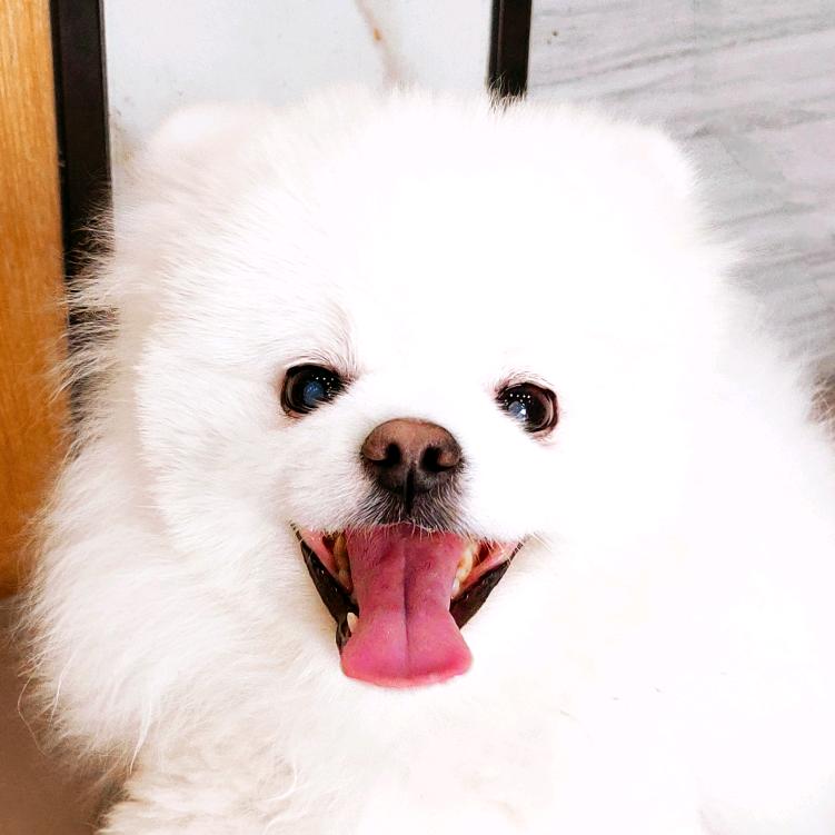 阿泽