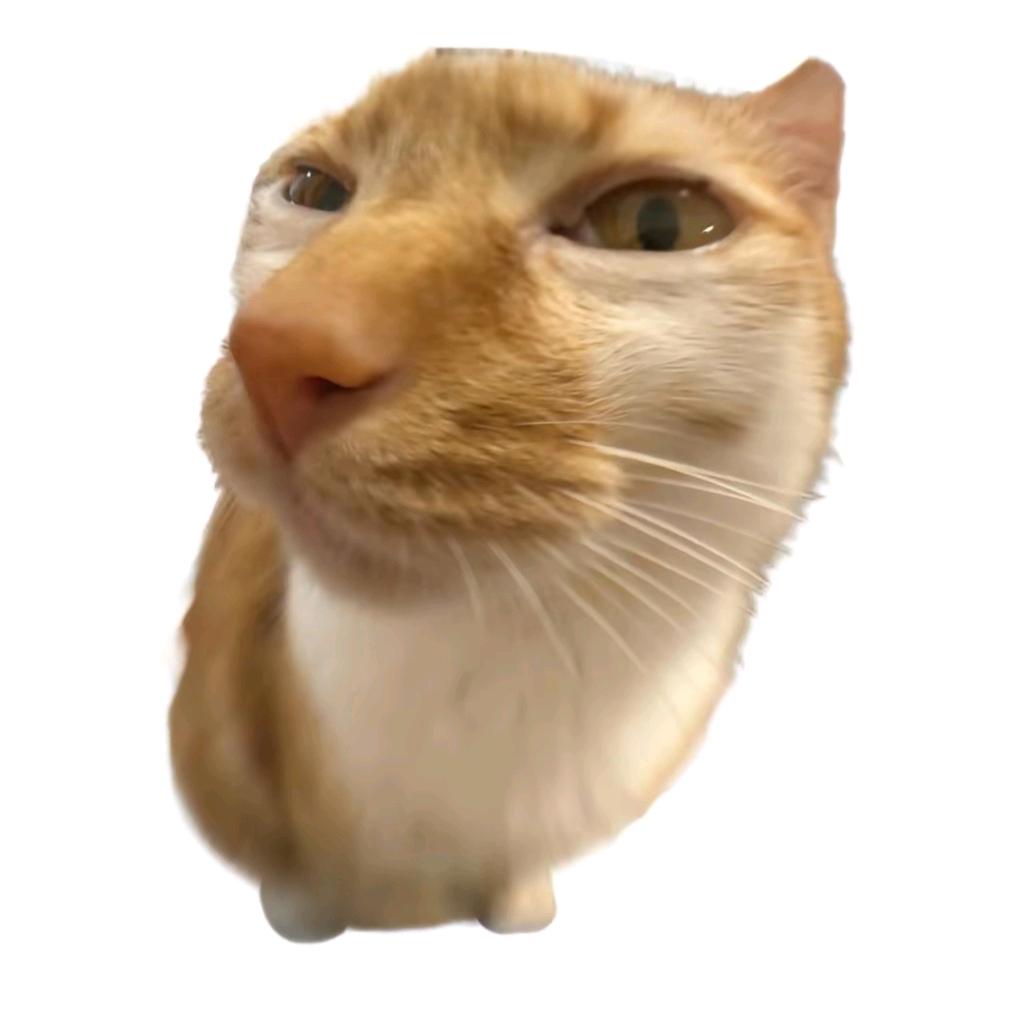 咕咕嘎嘎