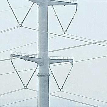 齐道临