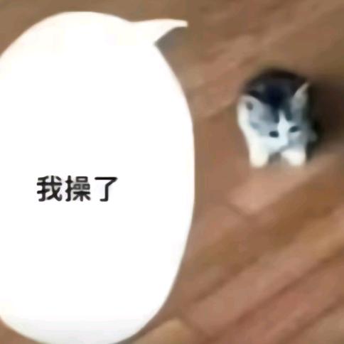喵不可耶！（评论没回可私信猪波）
