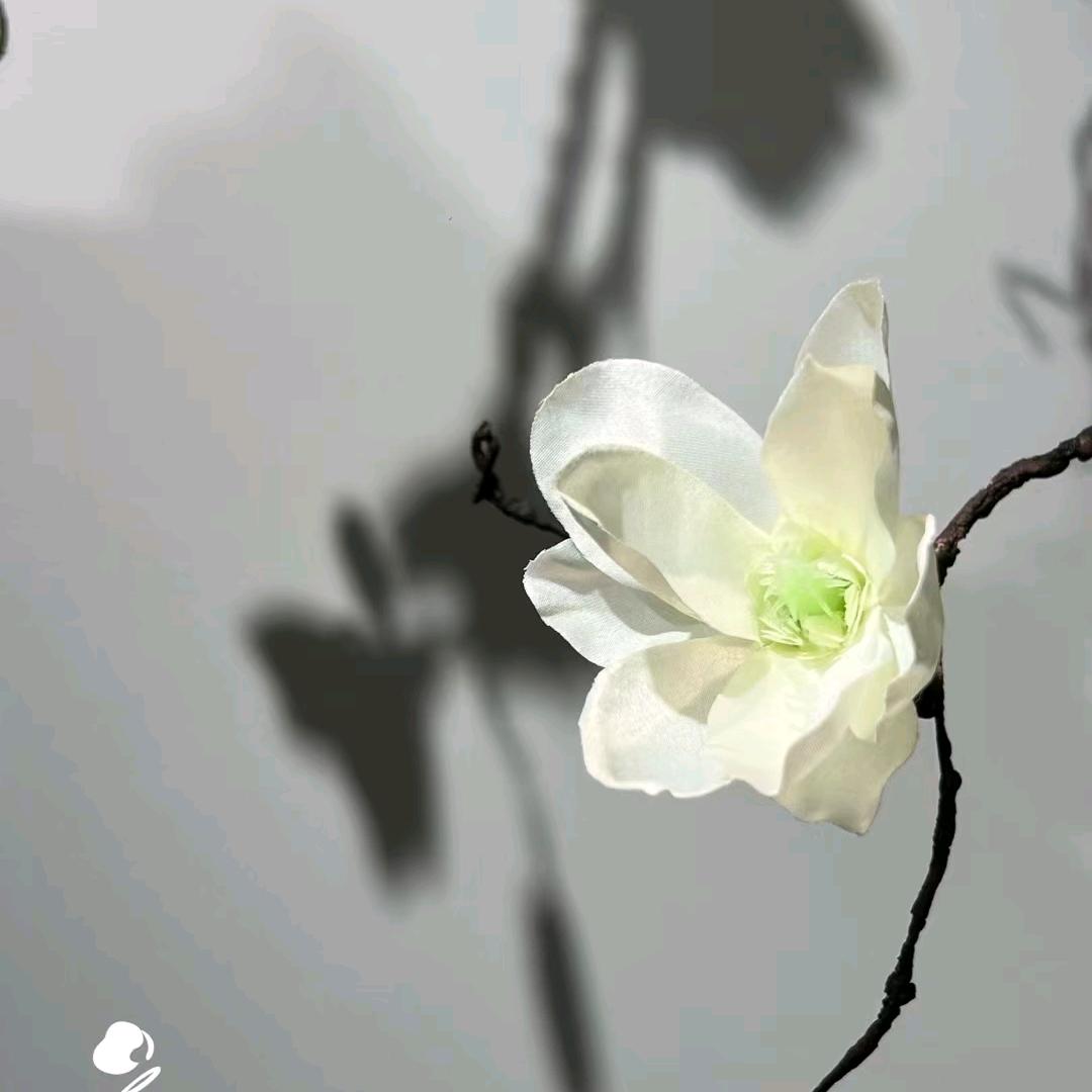 白色童话妈妈礼服馆官方号