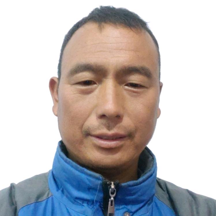 监控专家