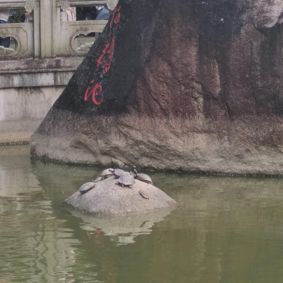 五月清欢