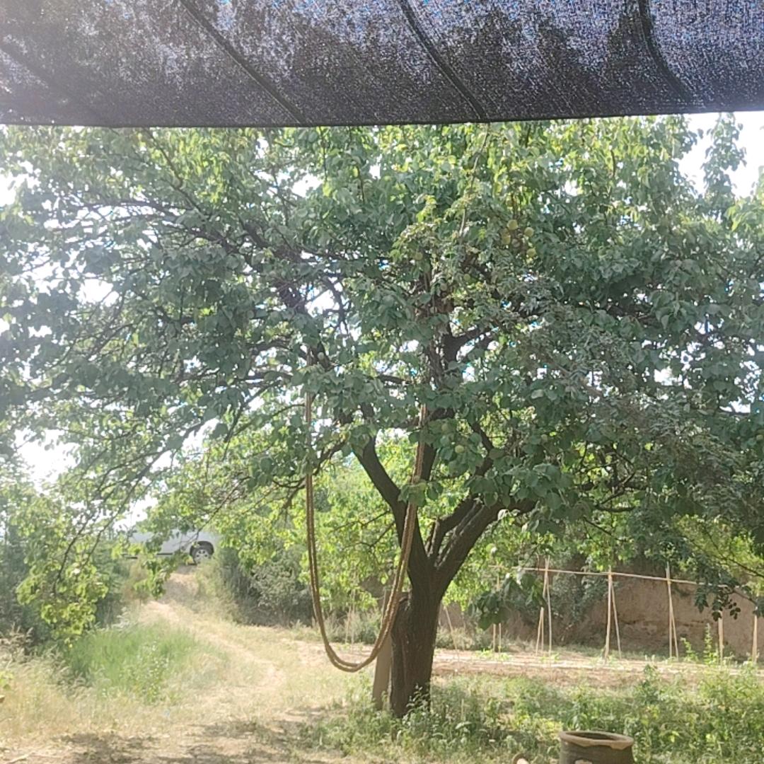 长寿塬开心生态农场（正在建设中）