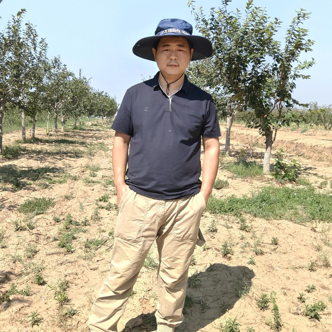 富平柿饼舅舅甄选