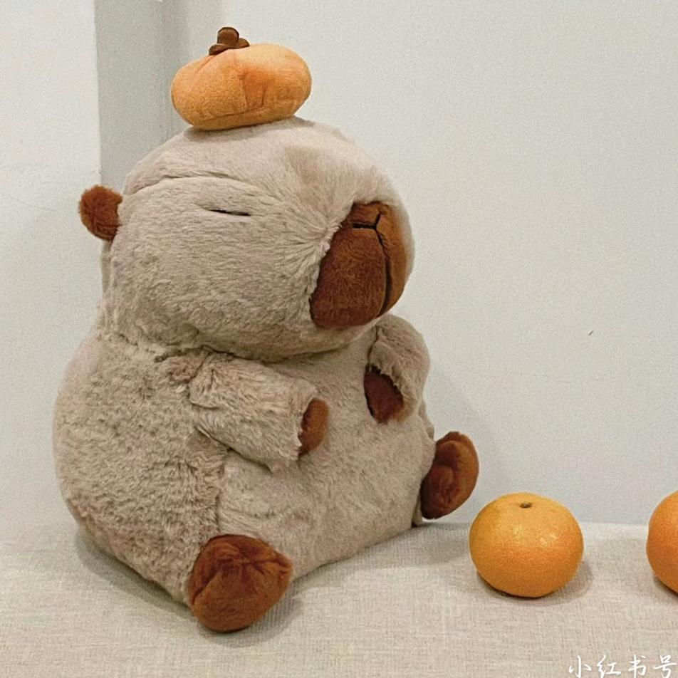 姜糖小派🥧
