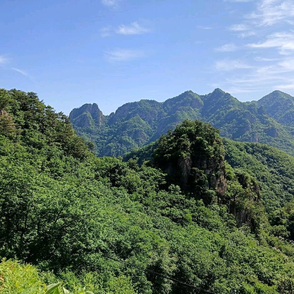 少庄主