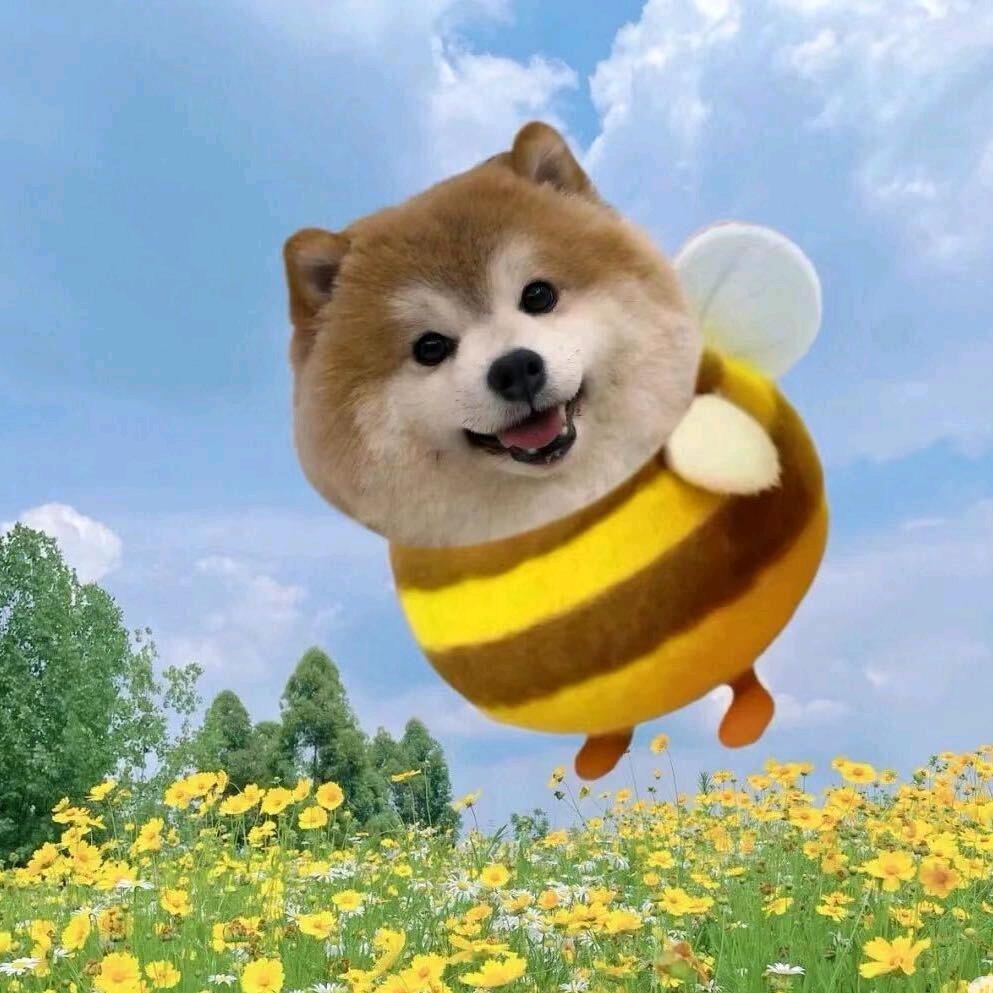 秋`