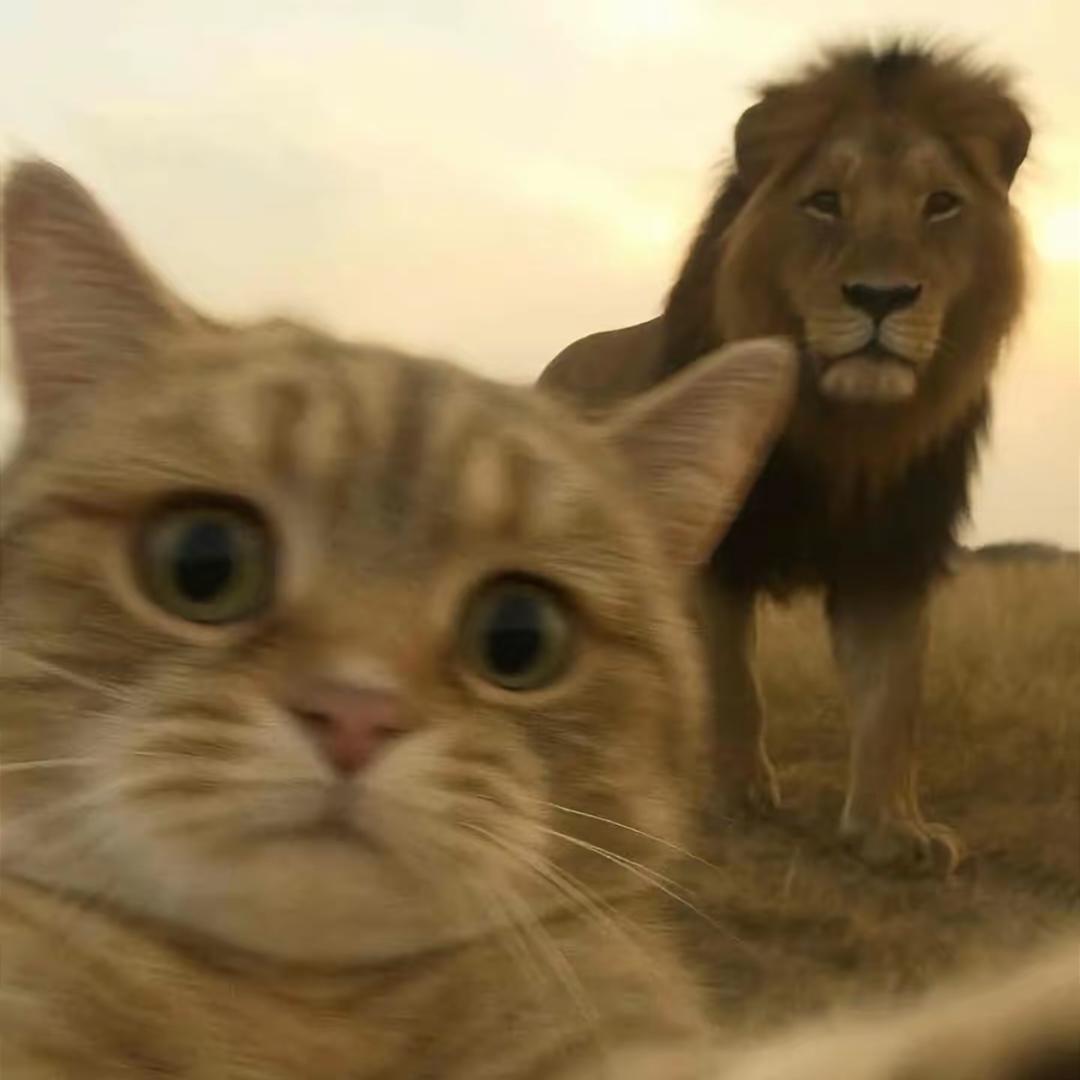 阳光鼠鼠（三角洲行动）