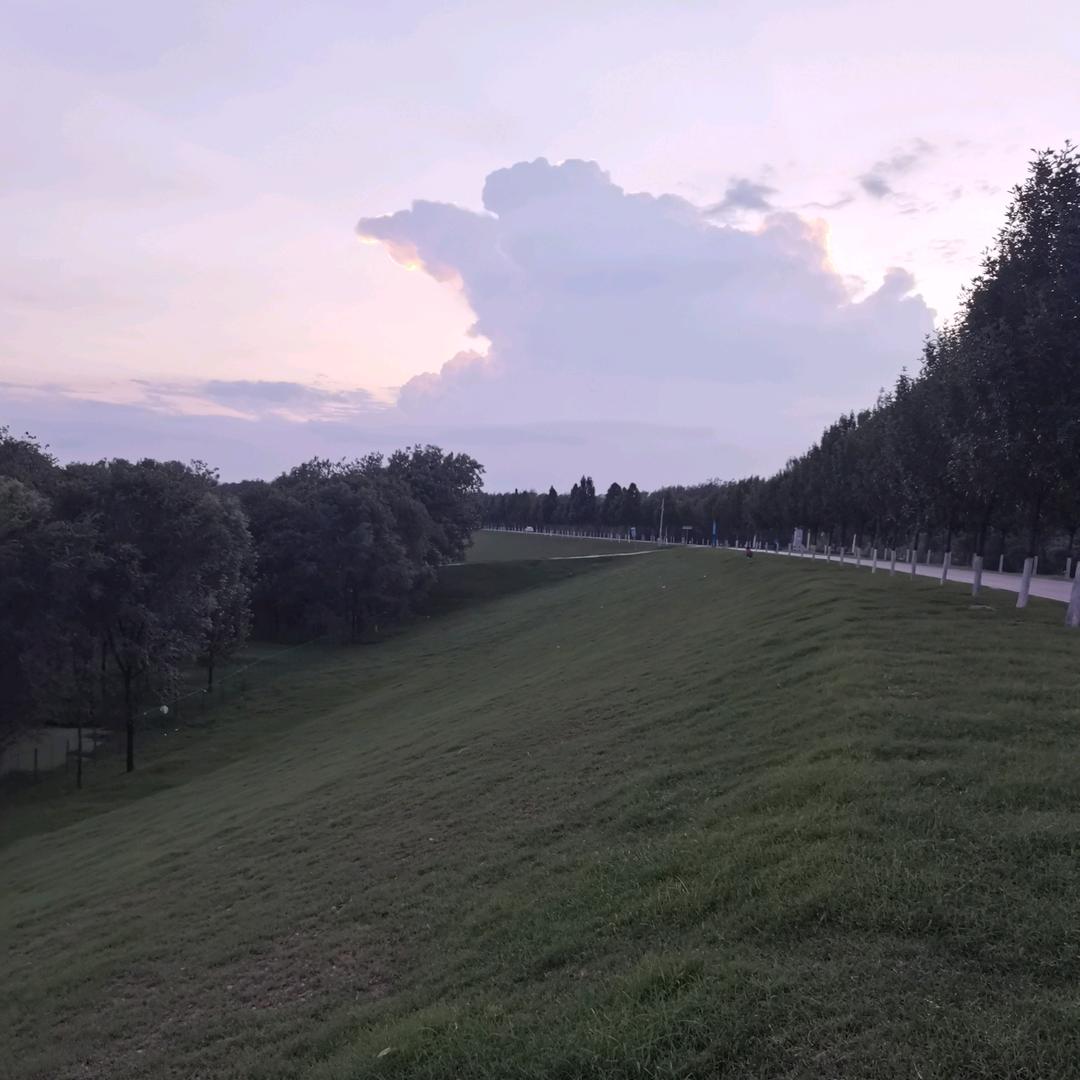 在远方