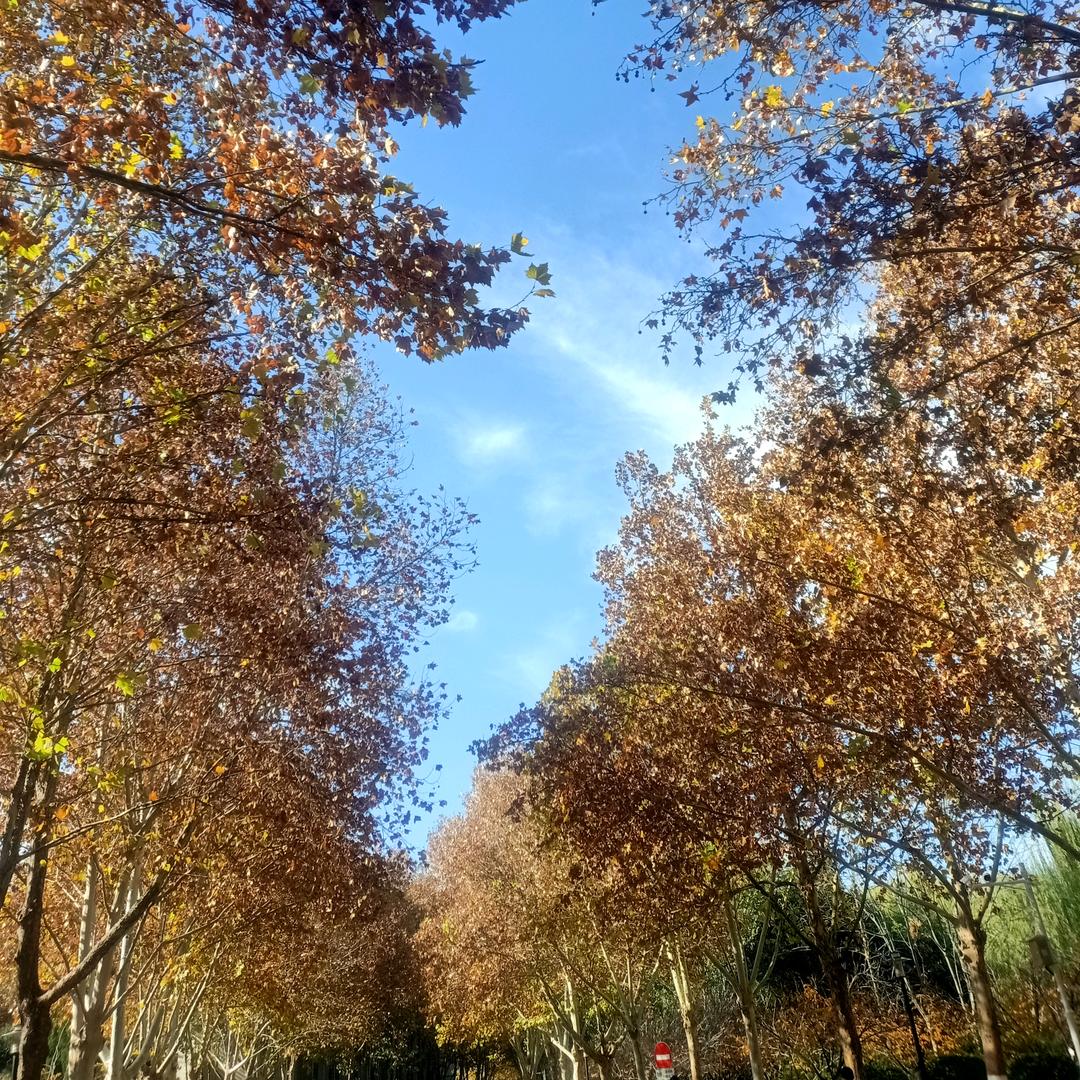 左撇子练字日常