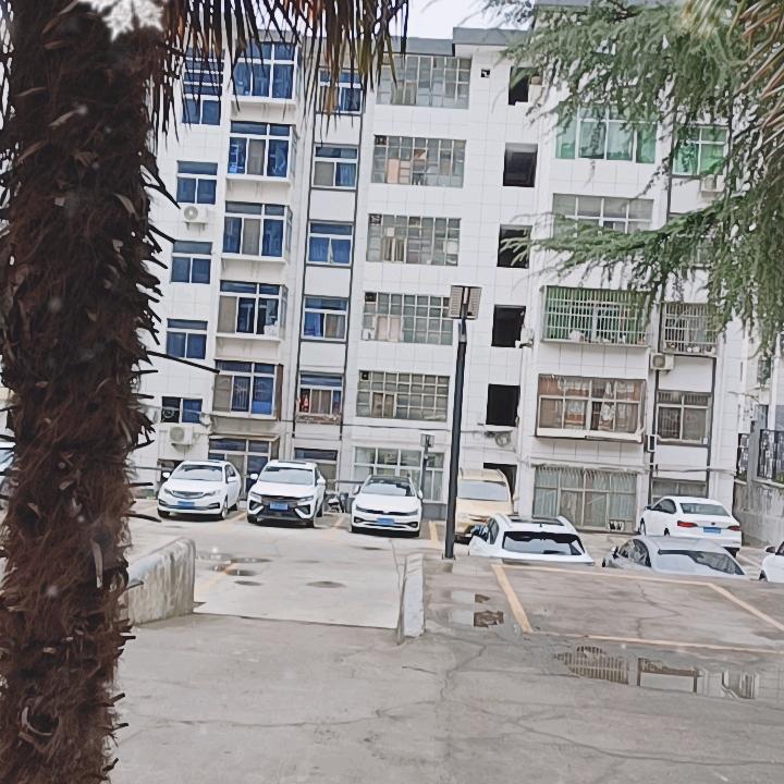 松柏