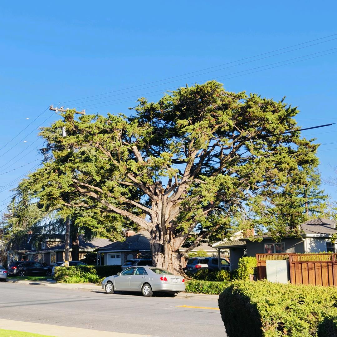 幸福并快乐着！