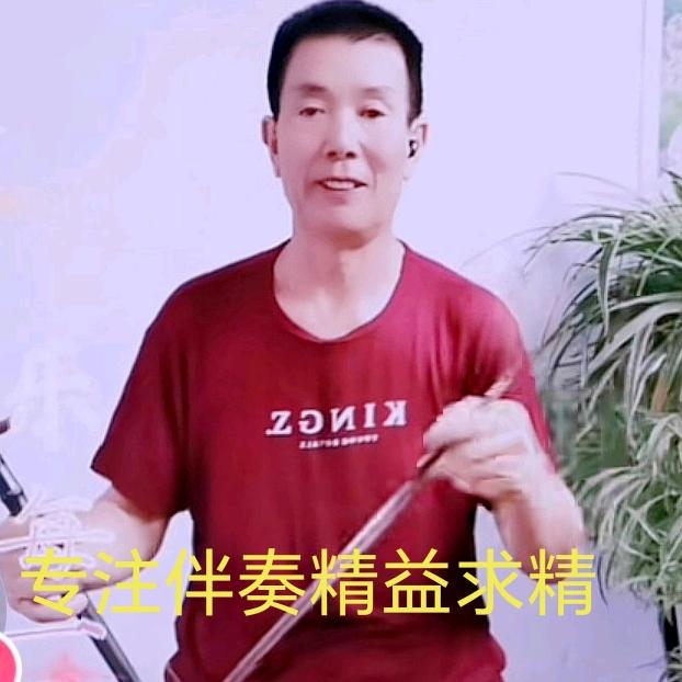 琴韵悠悠