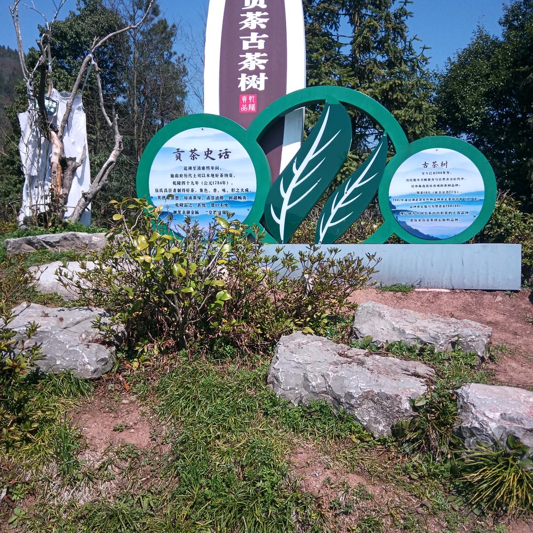 没有我的菜