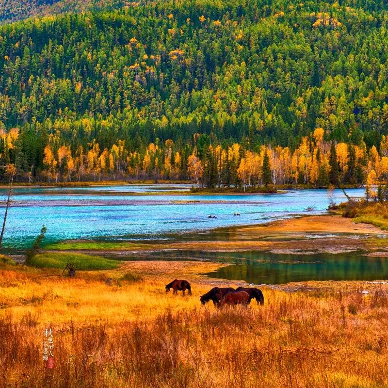 新疆酒旅推荐官