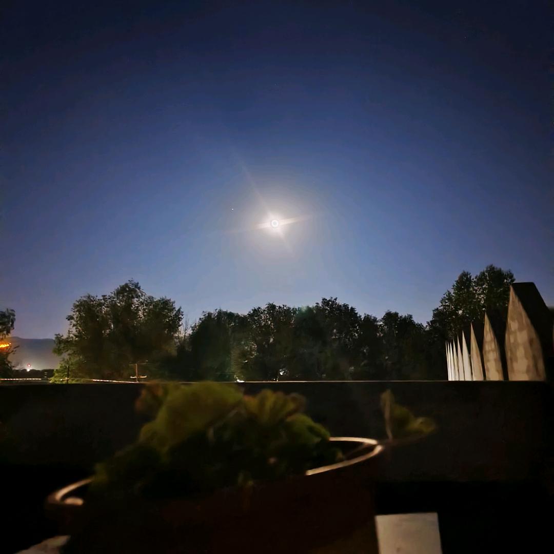 ℳঞ余生🍒随心꧔ꦿ້໌ᮨ࿐