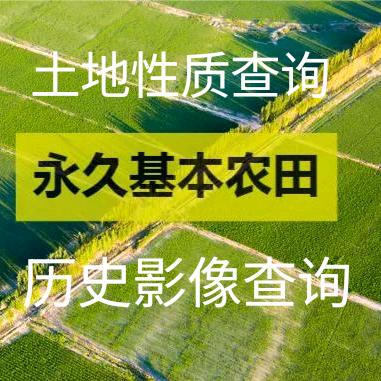 土地查询、永久基本农田查询、历史影像查询