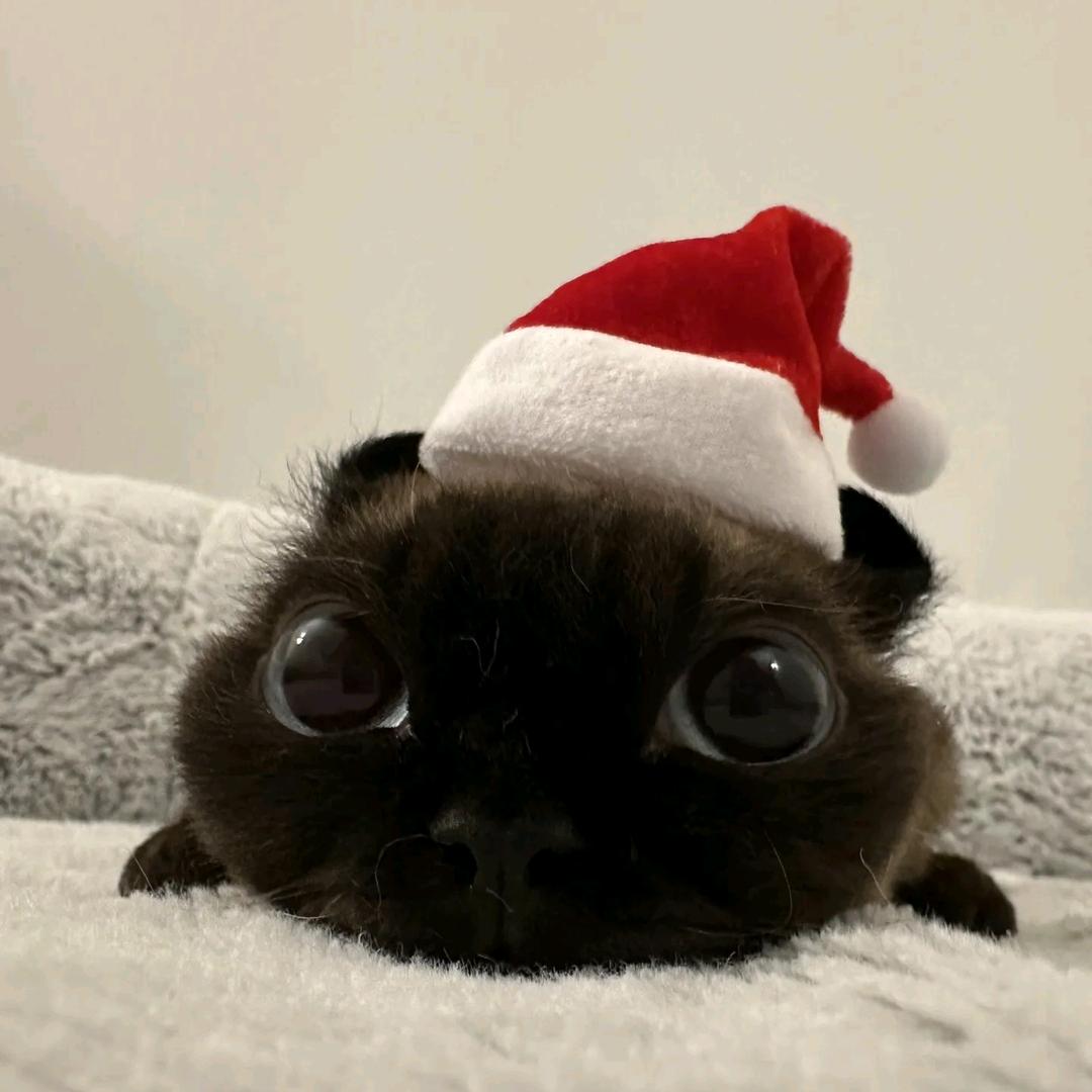 琳芜锡