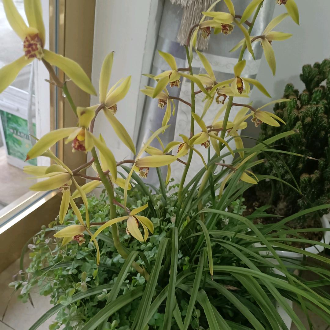 夏天