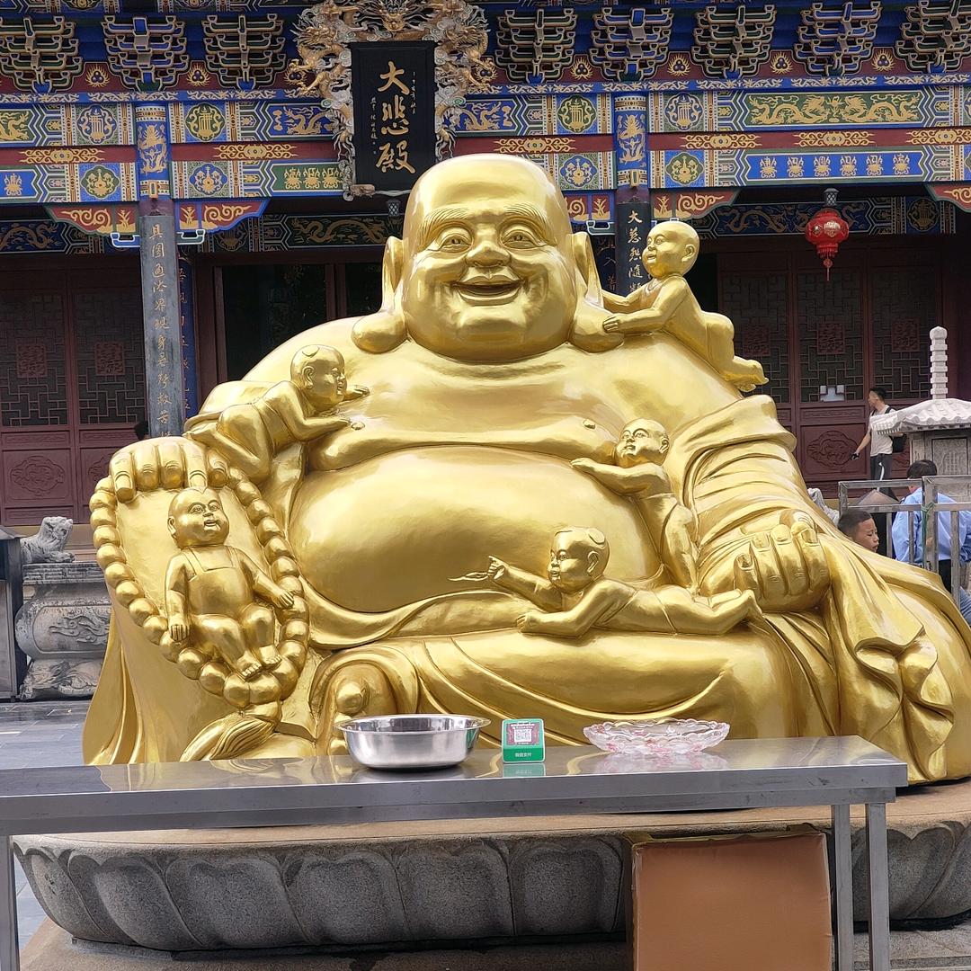 啊龙，斗鸡供应商，外贸