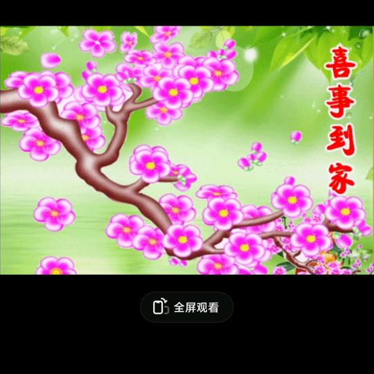 过好每一天🌺🌺🌺🌿🌿