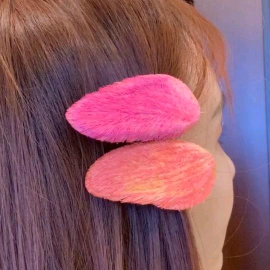 芒果丁