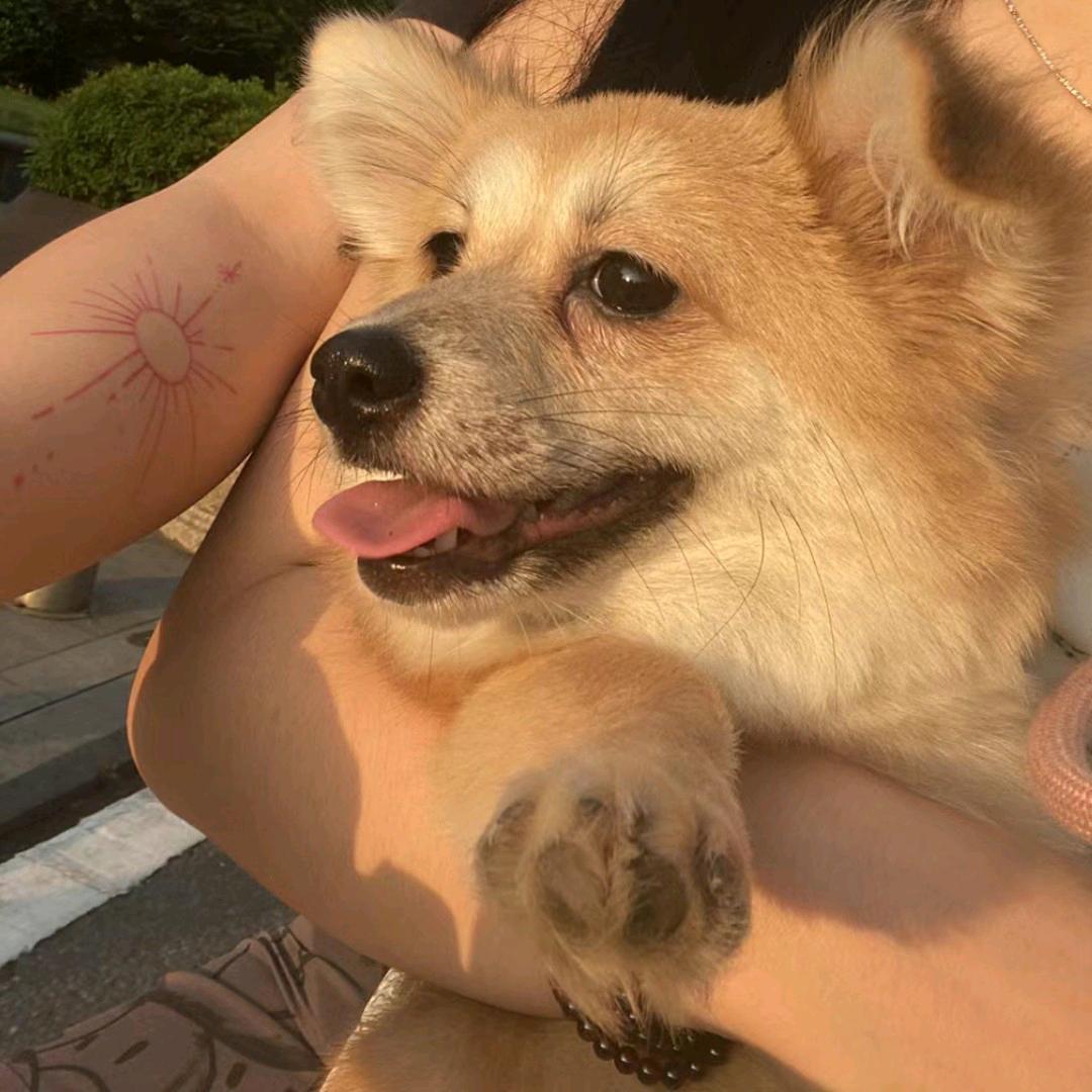 小龙创意生活坊