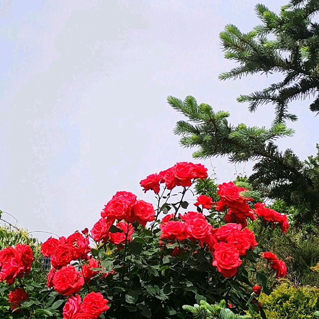 缘分