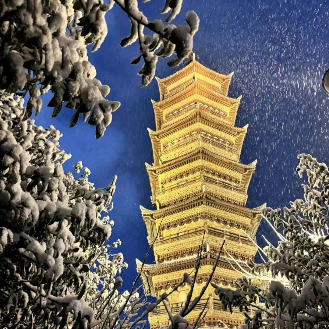 风在摇他的叶子
