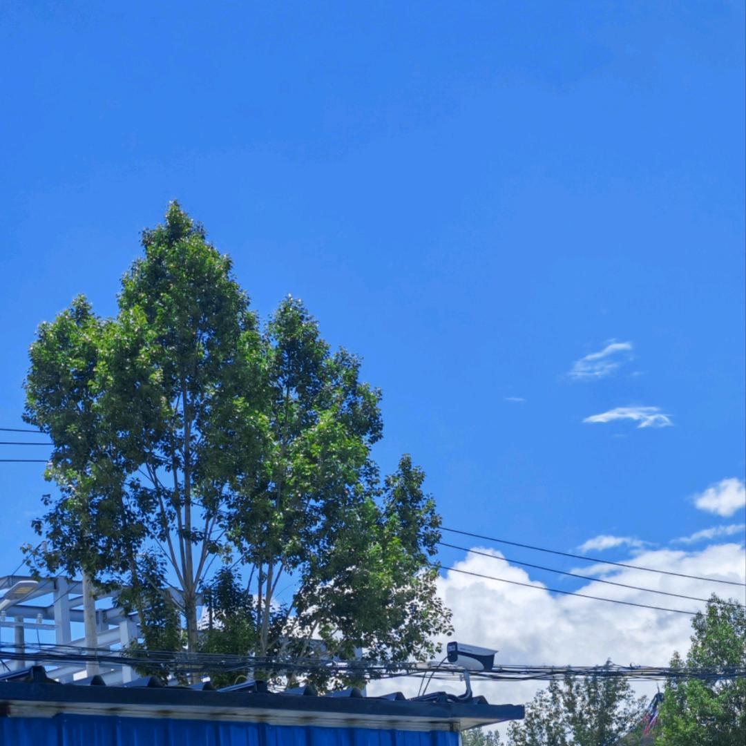 专注少儿舞蹈