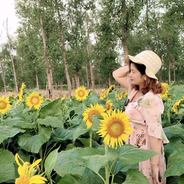 枫韵紫秋