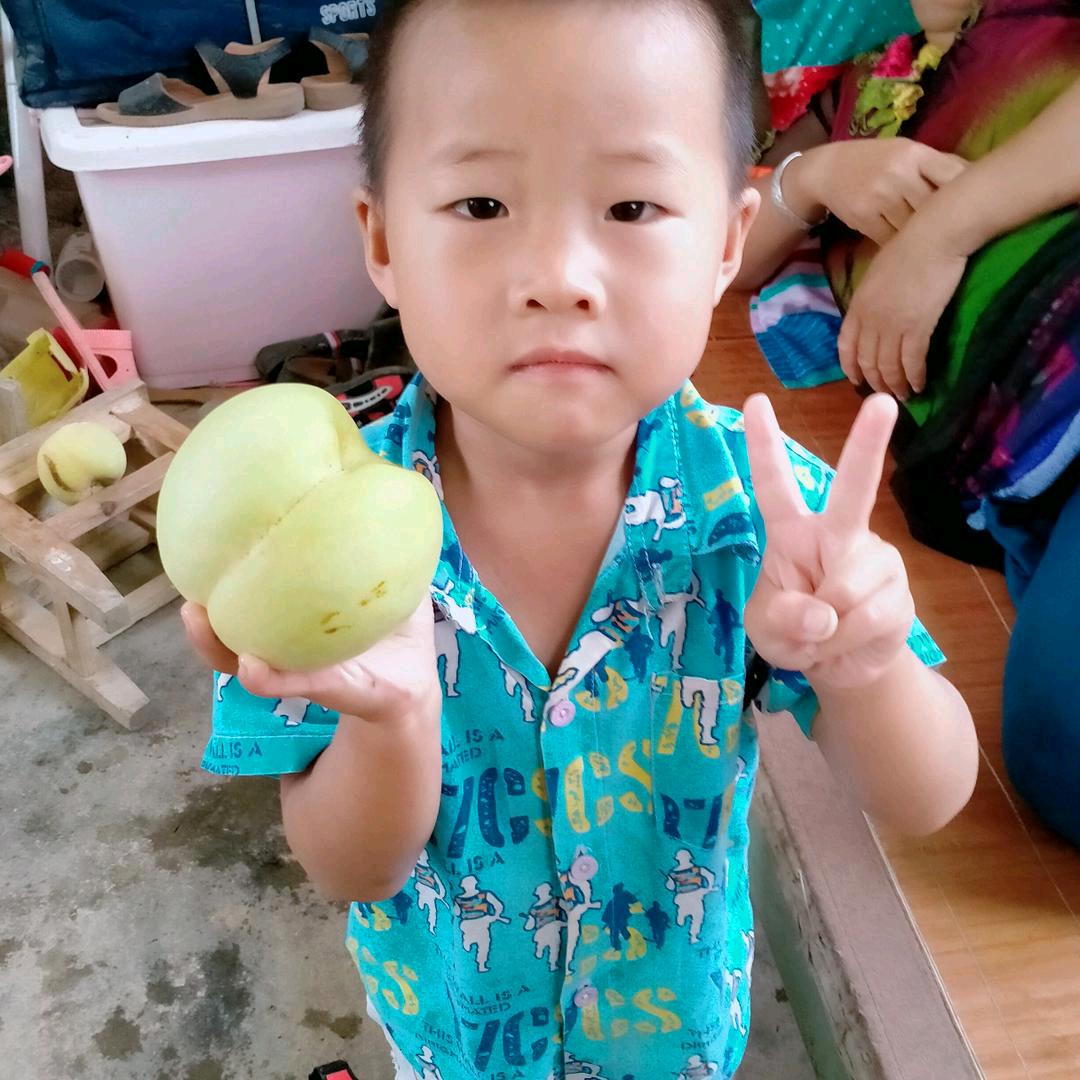 嘉豪豪