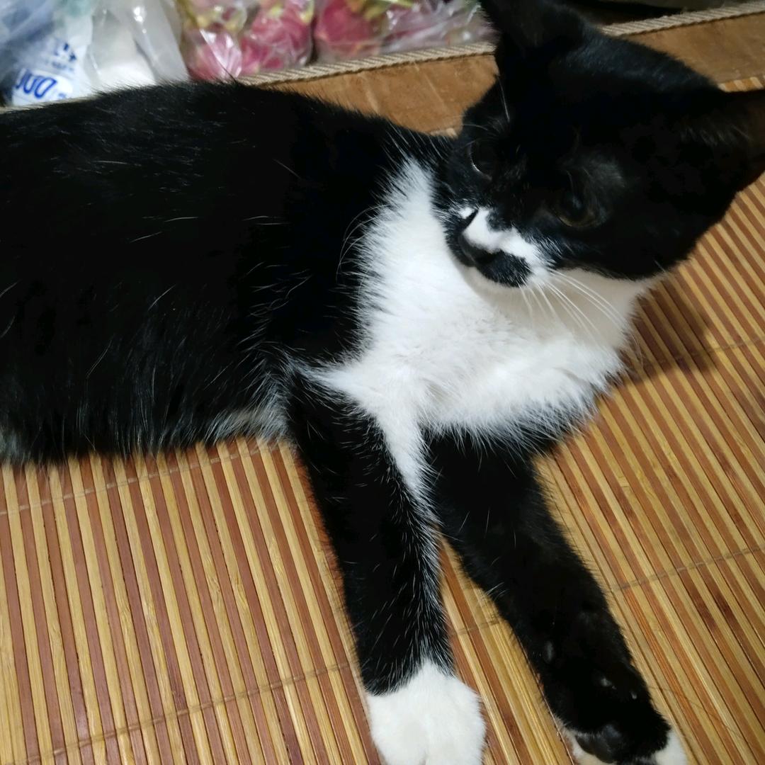 疲惫无力的心甄甄