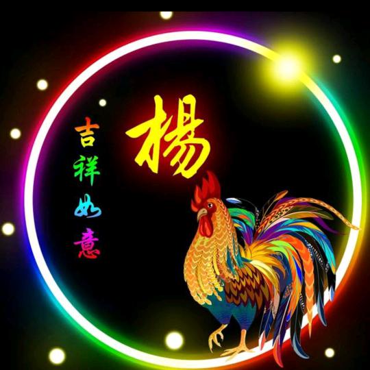 顺哥