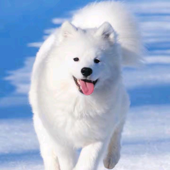 :思念❤️