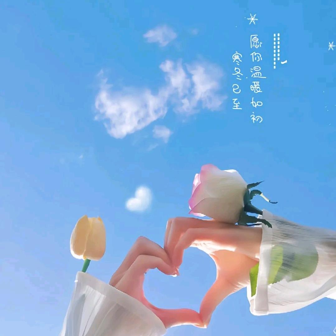 琴儿