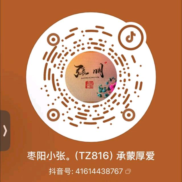 枣阳小张