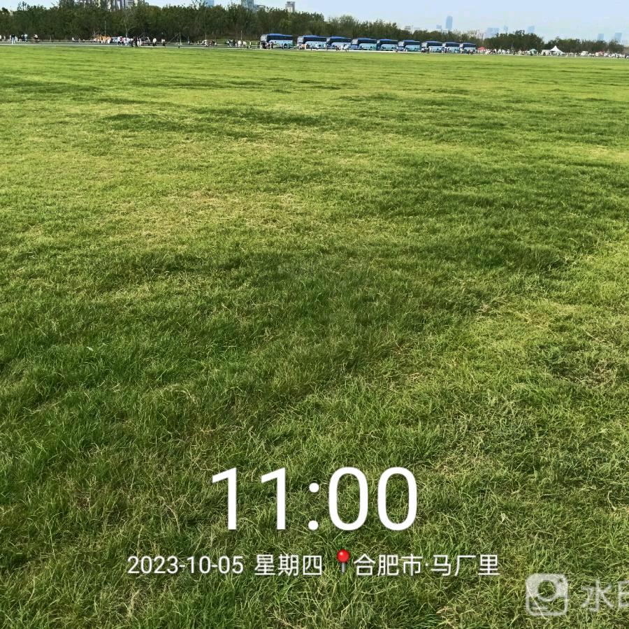 顺其自然