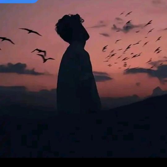 🪸🍁浅笑安然💐🌾🍎